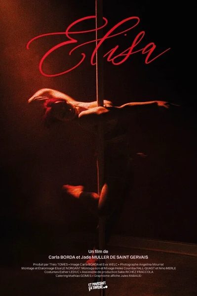 Affiche du film Elisa