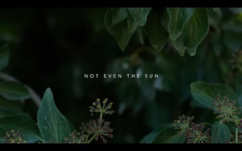 Affiche du film Not even the sun
