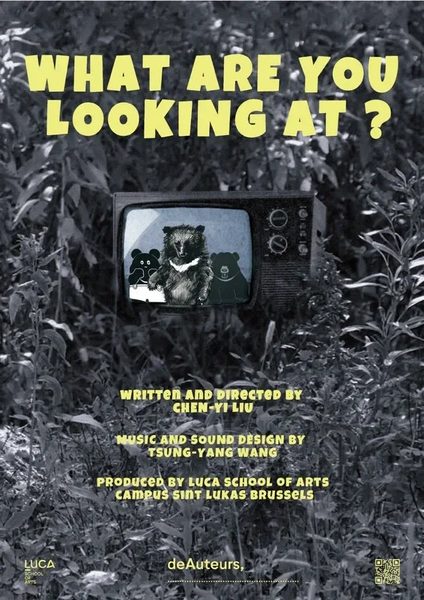 Affiche du film Que regardez vous ?