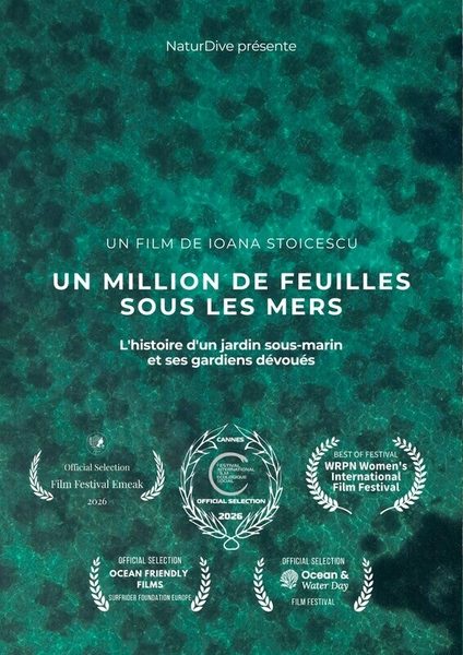 Affiche du film Un million de feuille sous la mer